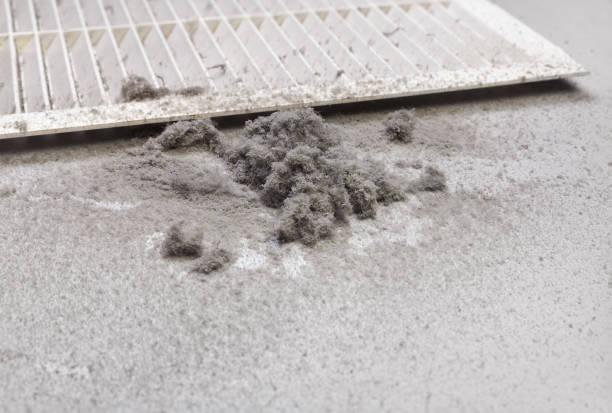 Best Commercial Air Duct Cleaning  in Clayton, IN