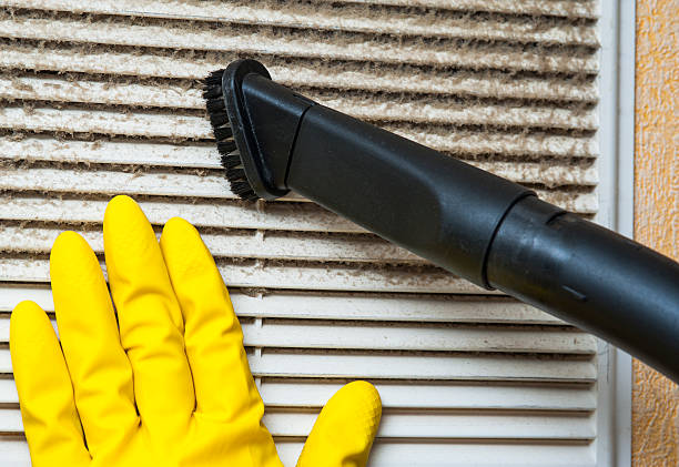 Best Local Air Duct Cleaning Services  in Clayton, IN